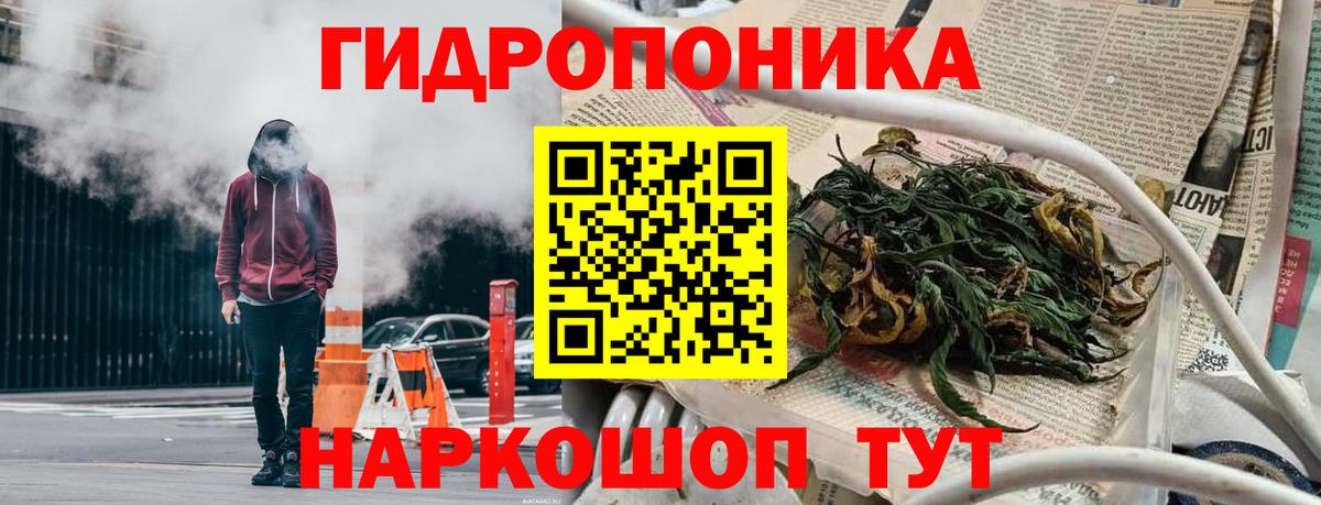 Каннабис OG Kush Соль-Илецк
